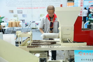 抓好行業(yè)標準 研發(fā)新型基質為黑木耳產(chǎn)業(yè)化發(fā)展提速 中國食品報網(wǎng)